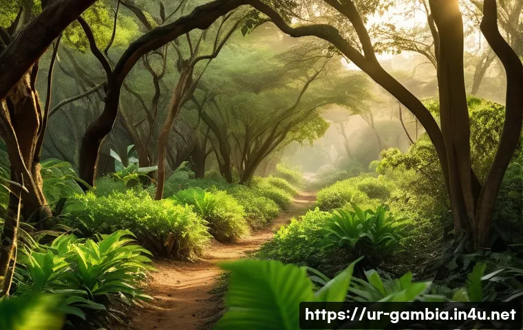 감비아에서 모험 여행하기 - A lush, dense forest scene in The Gambia showcasing vibrant green foliage and tall trees under soft ...